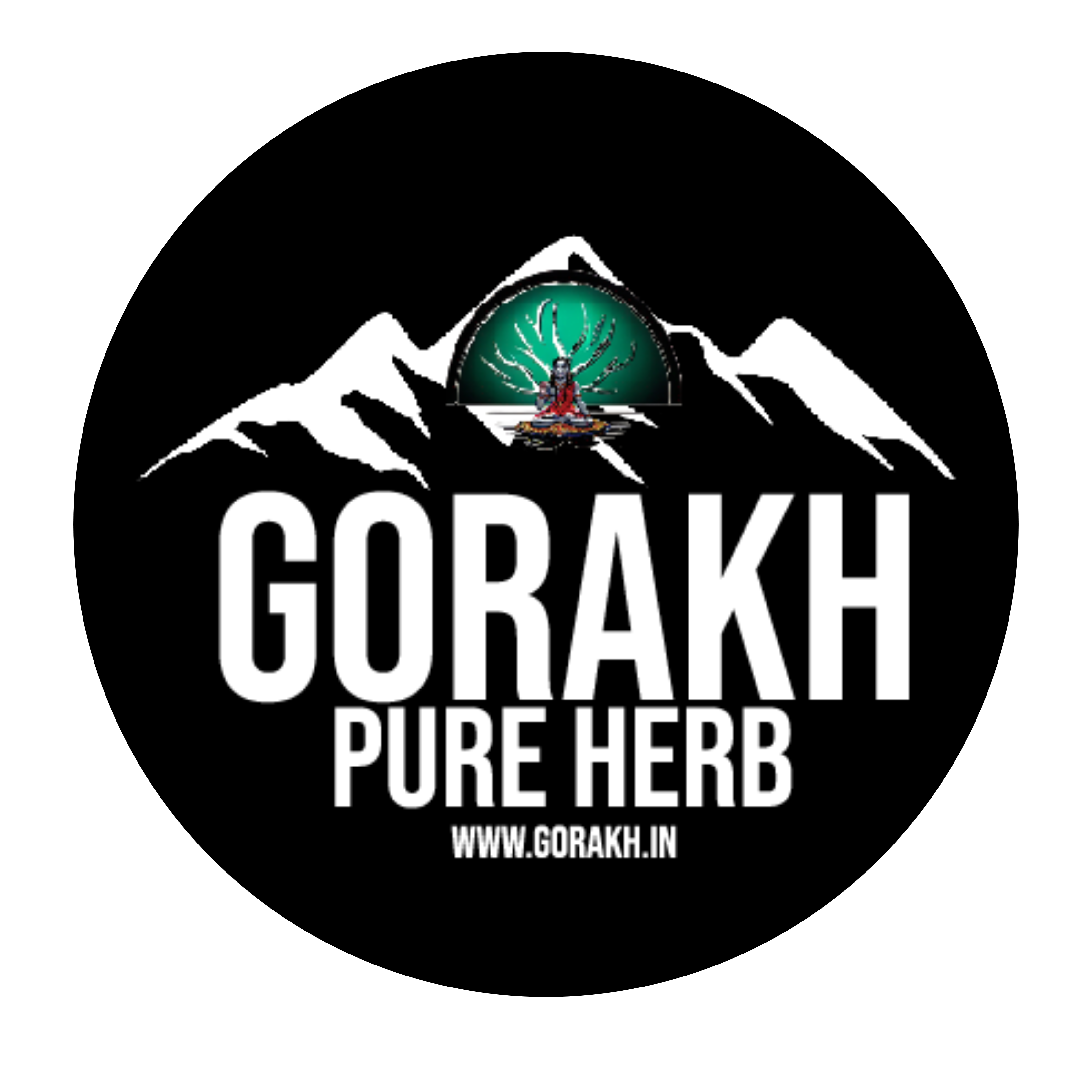 Custom Logo Creation (Business)